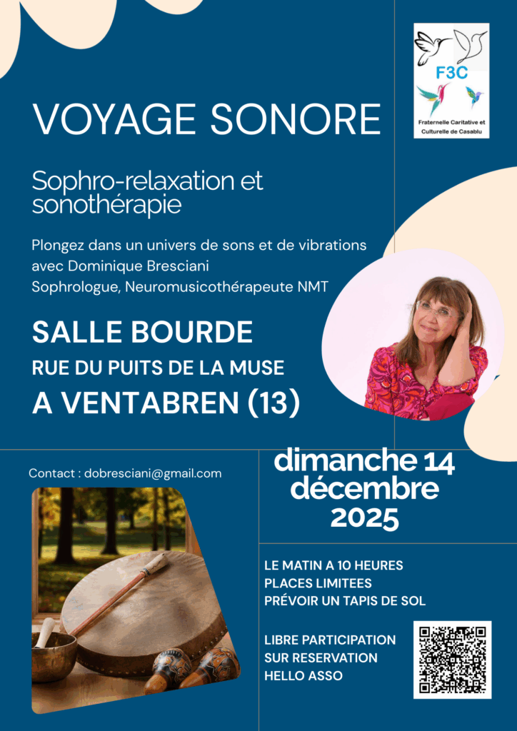 f3c flyer voyage sonore