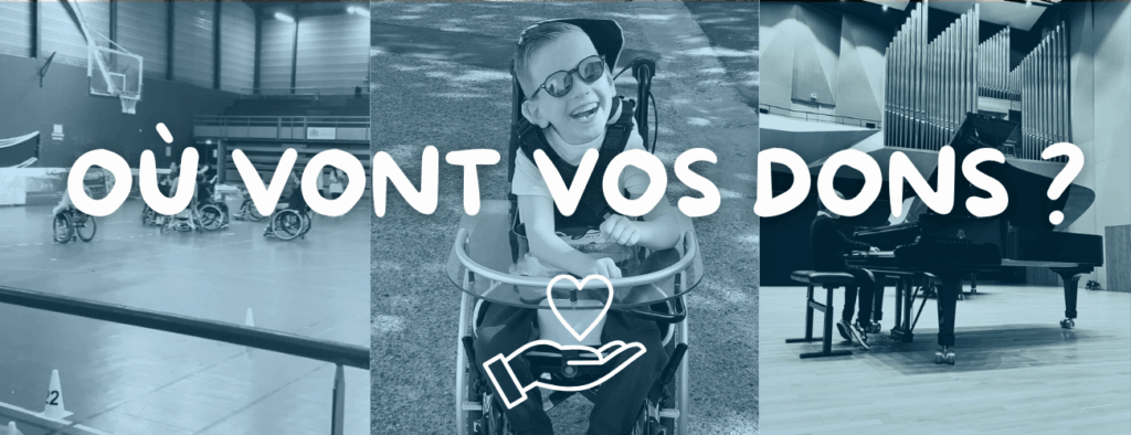 fond site 4saisons f3c (1)